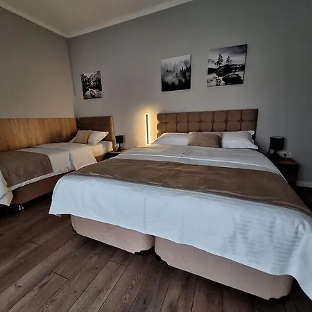 Casa Don Felipe 3* Timisoara