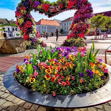 Casa Don Felipe Guest house