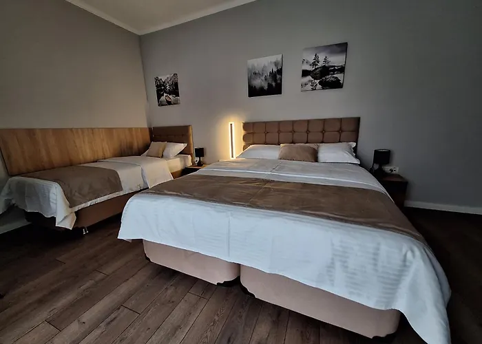 Casa Don Felipe 3* Timişoara