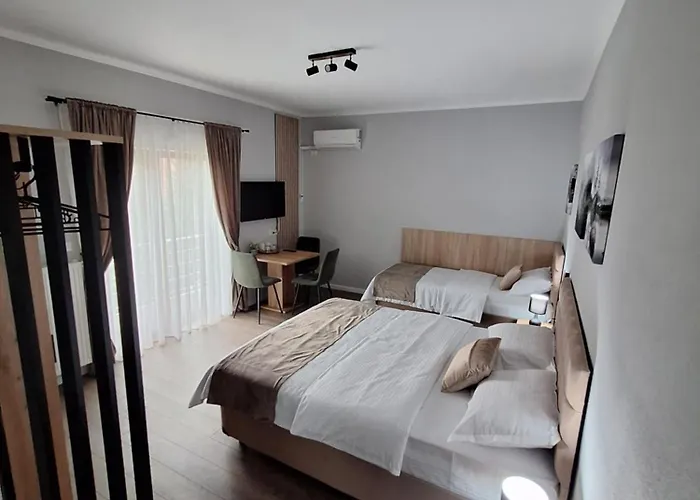 Casa Don Felipe Pensionat Timişoara