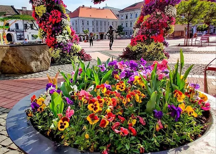 Casa Don Felipe Pensionat